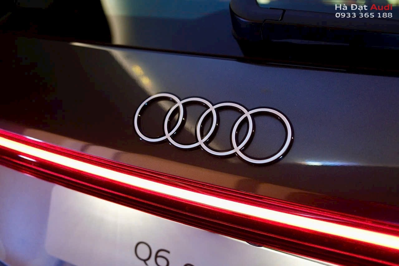 den ve dem aui q8 e-tron 2025