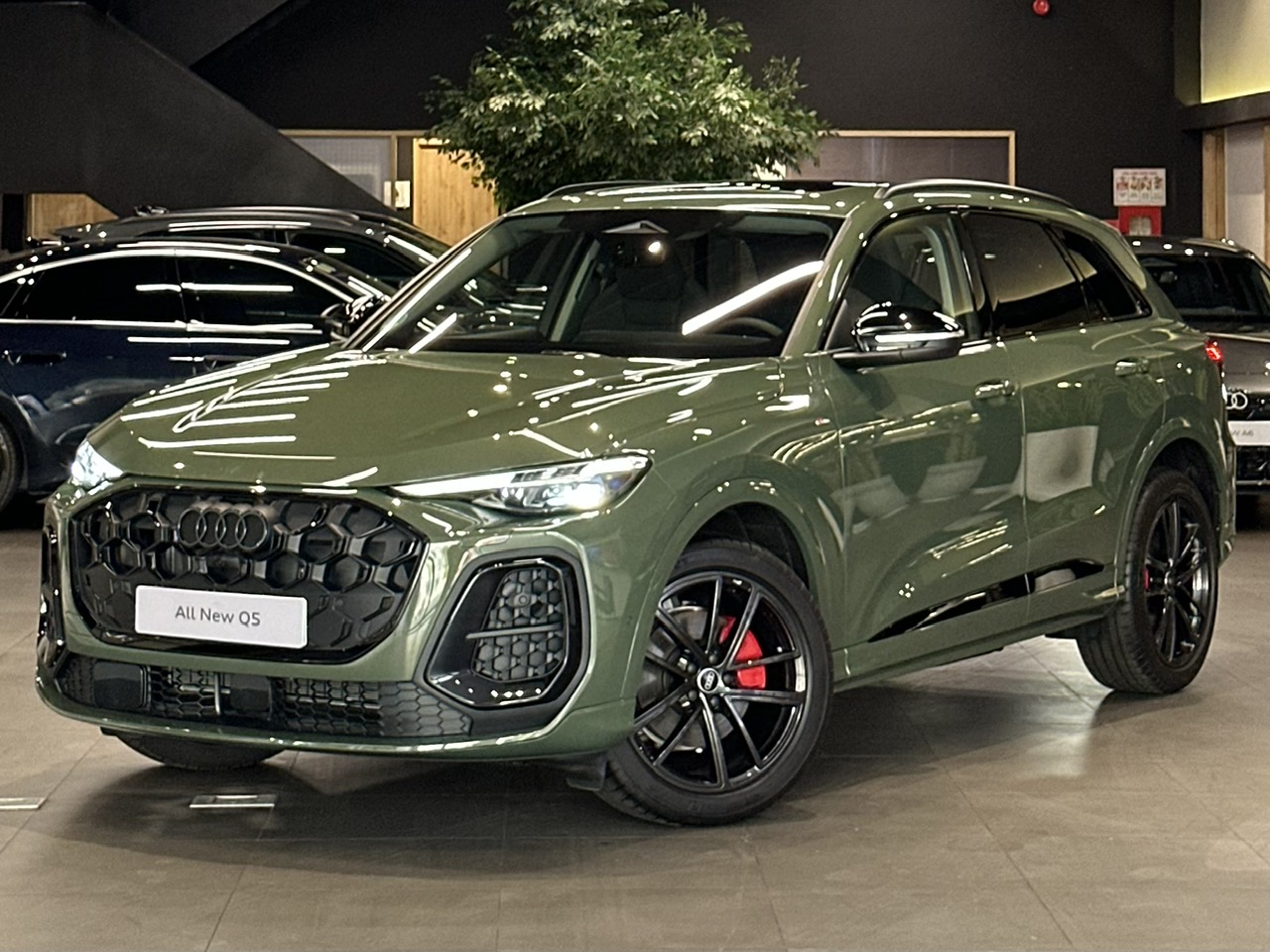 ngoai that audi q5 2026 all new